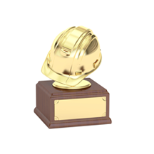 INNOVATIVE PROFESSIONAL ENGINEER AWARD 2023